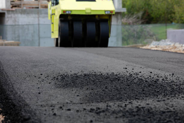Best Paver Driveway Replacement  in Bemidji, MN